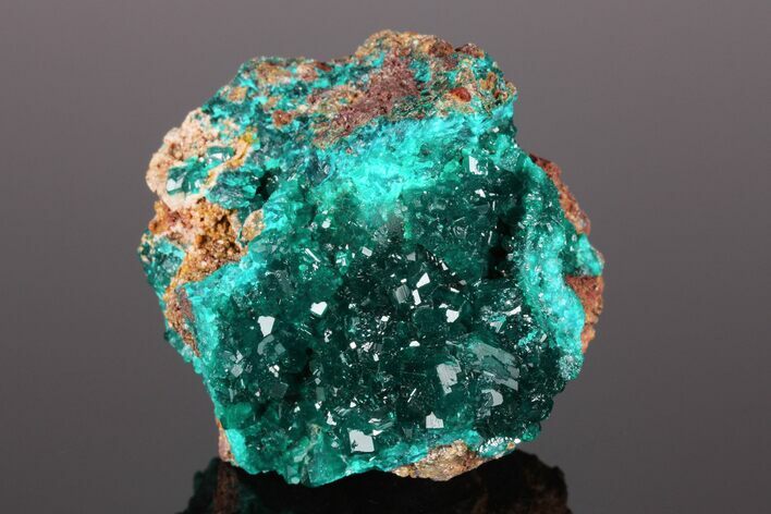 Gemmy Dioptase Crystal Cluster #175954